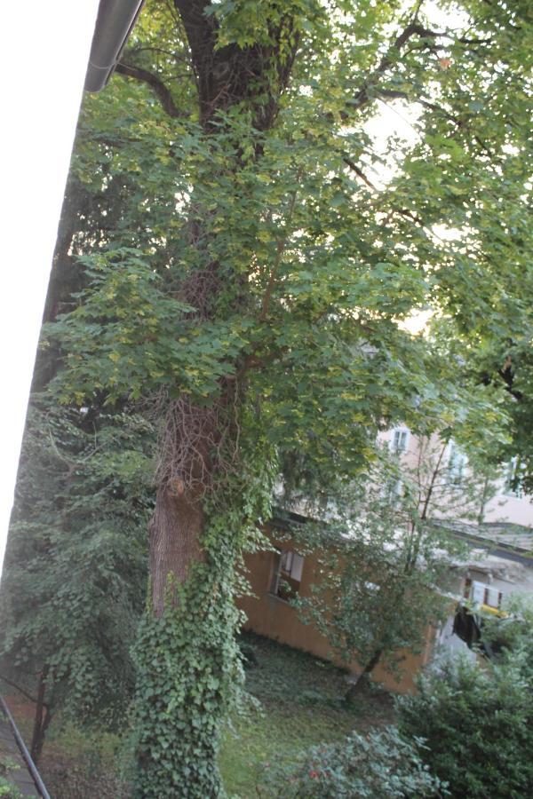 זלצבורג Mozart'S Garden Villa מראה חיצוני תמונה